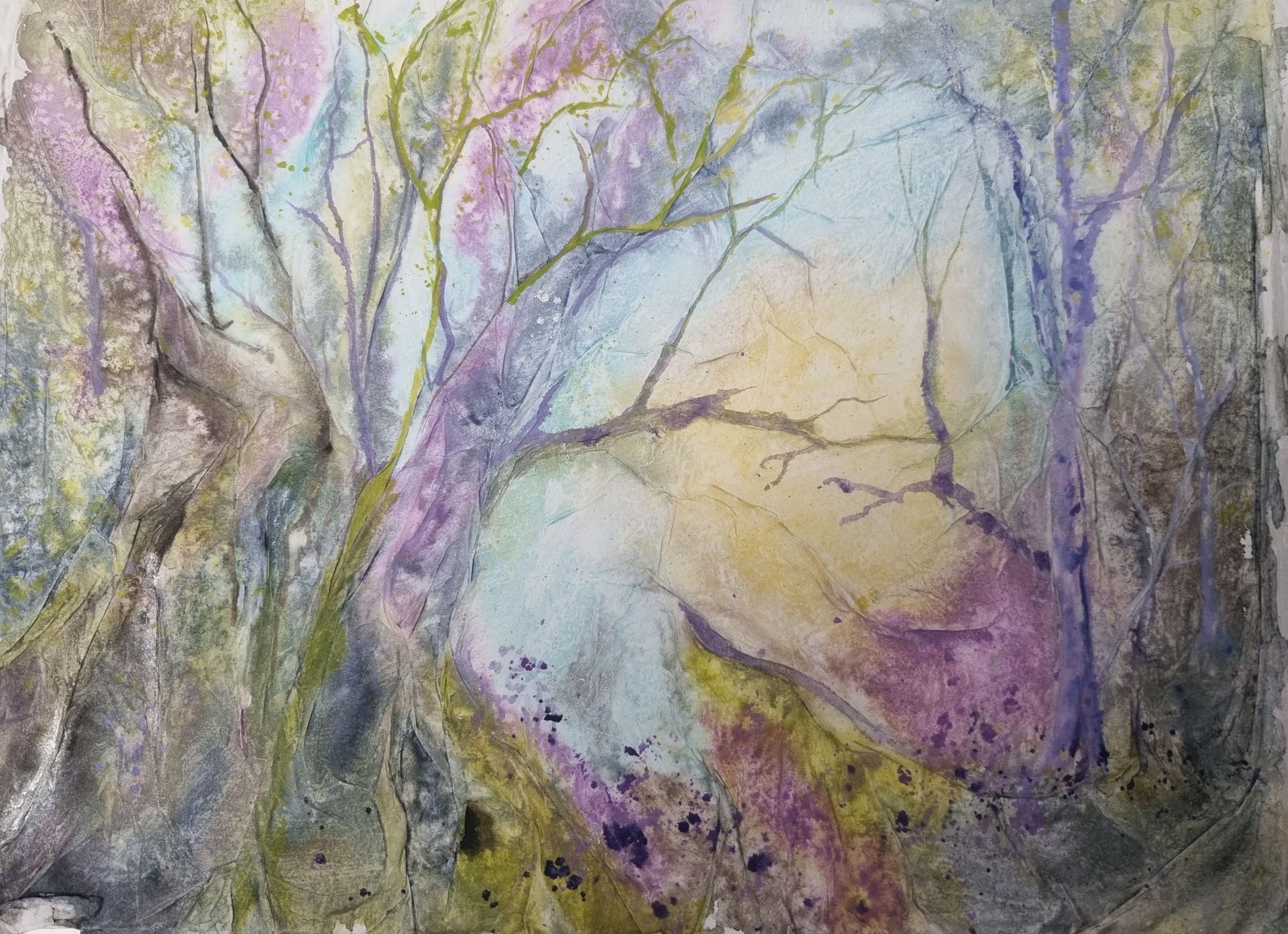 magic woods