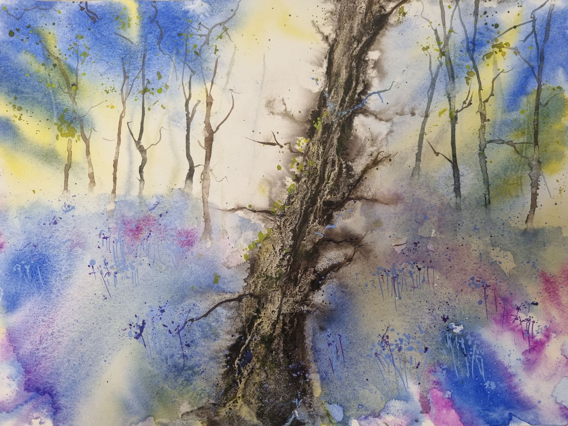 blue woodland
