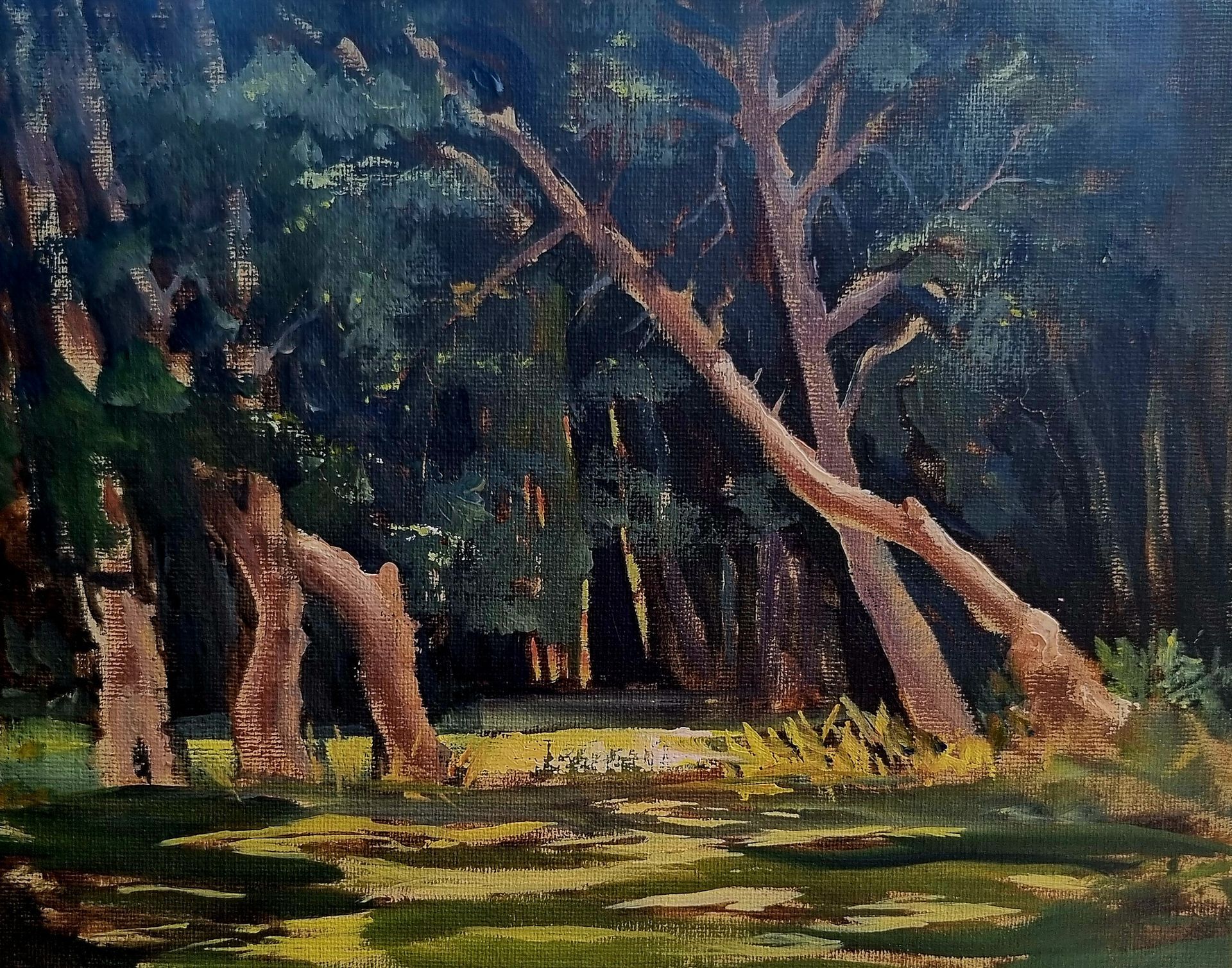 Old, knarled pine trees painted in oil.
