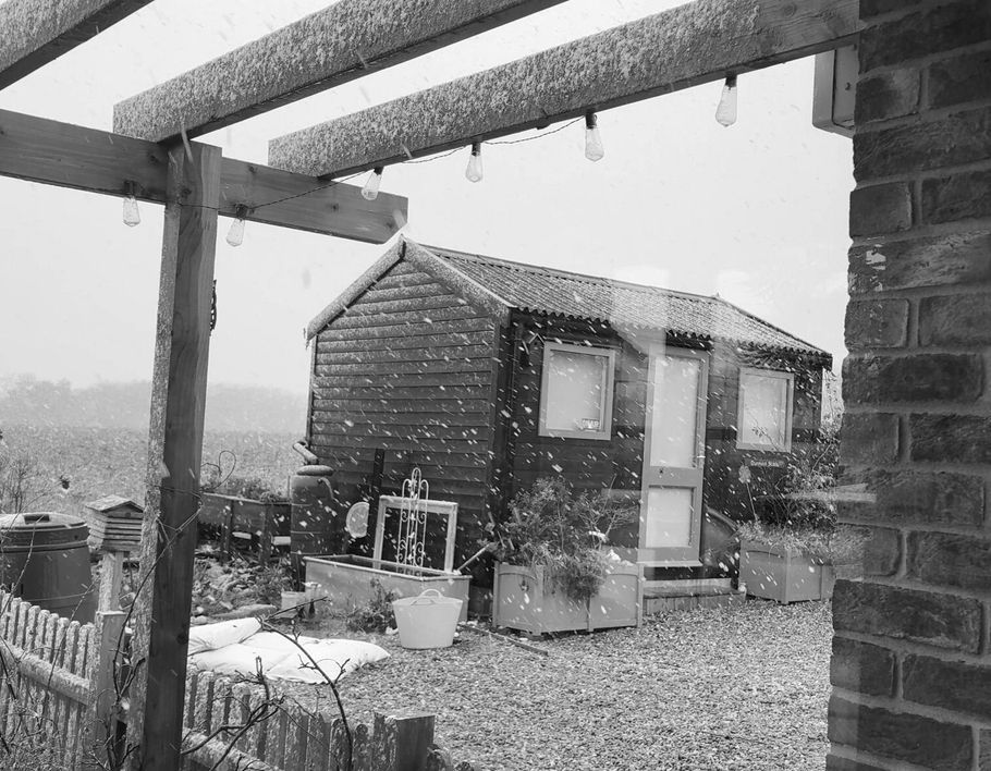 Snow on Dunnock Studio. 