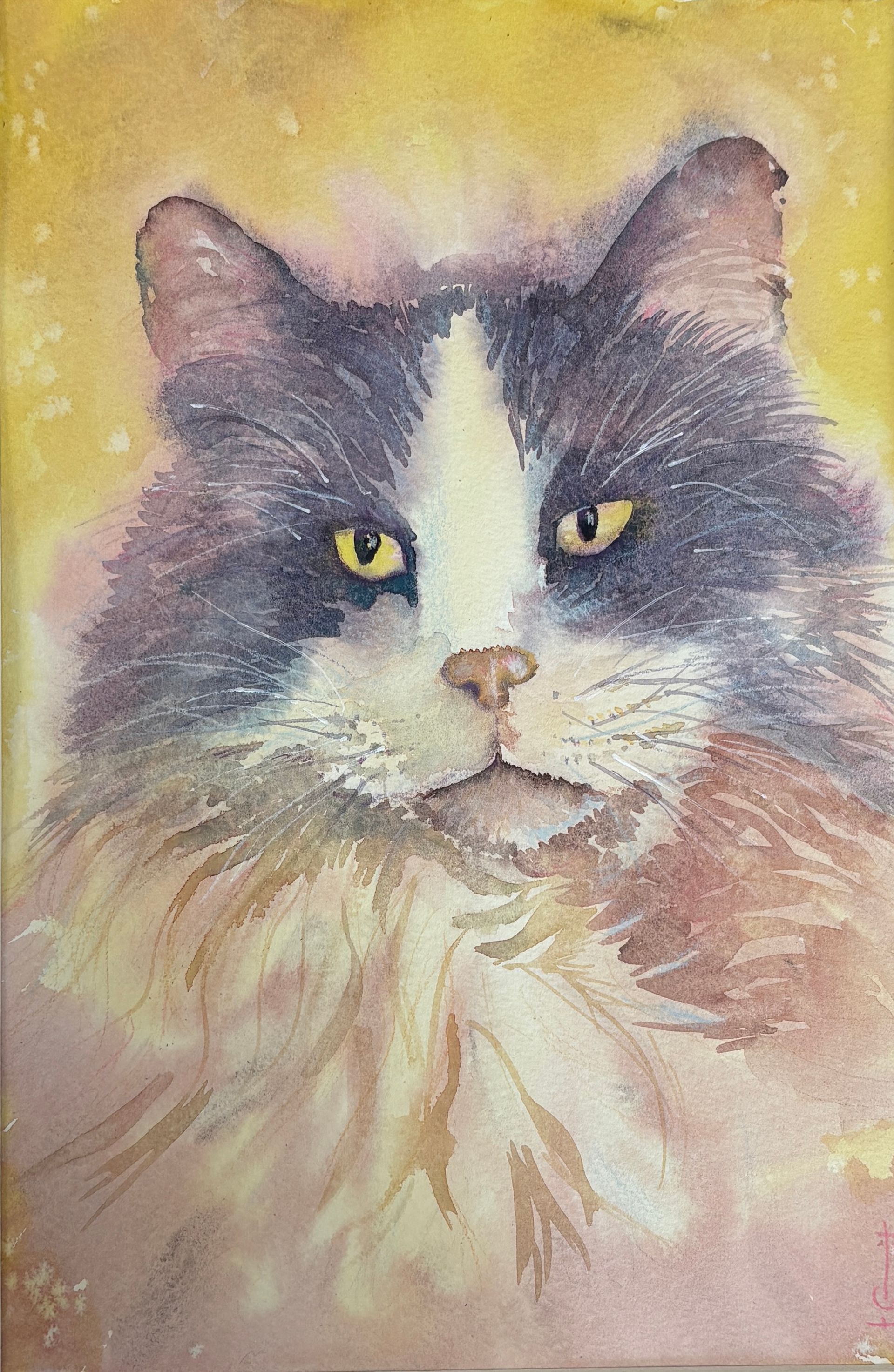 A watercolour painting of a cat showing different colours in the fur.