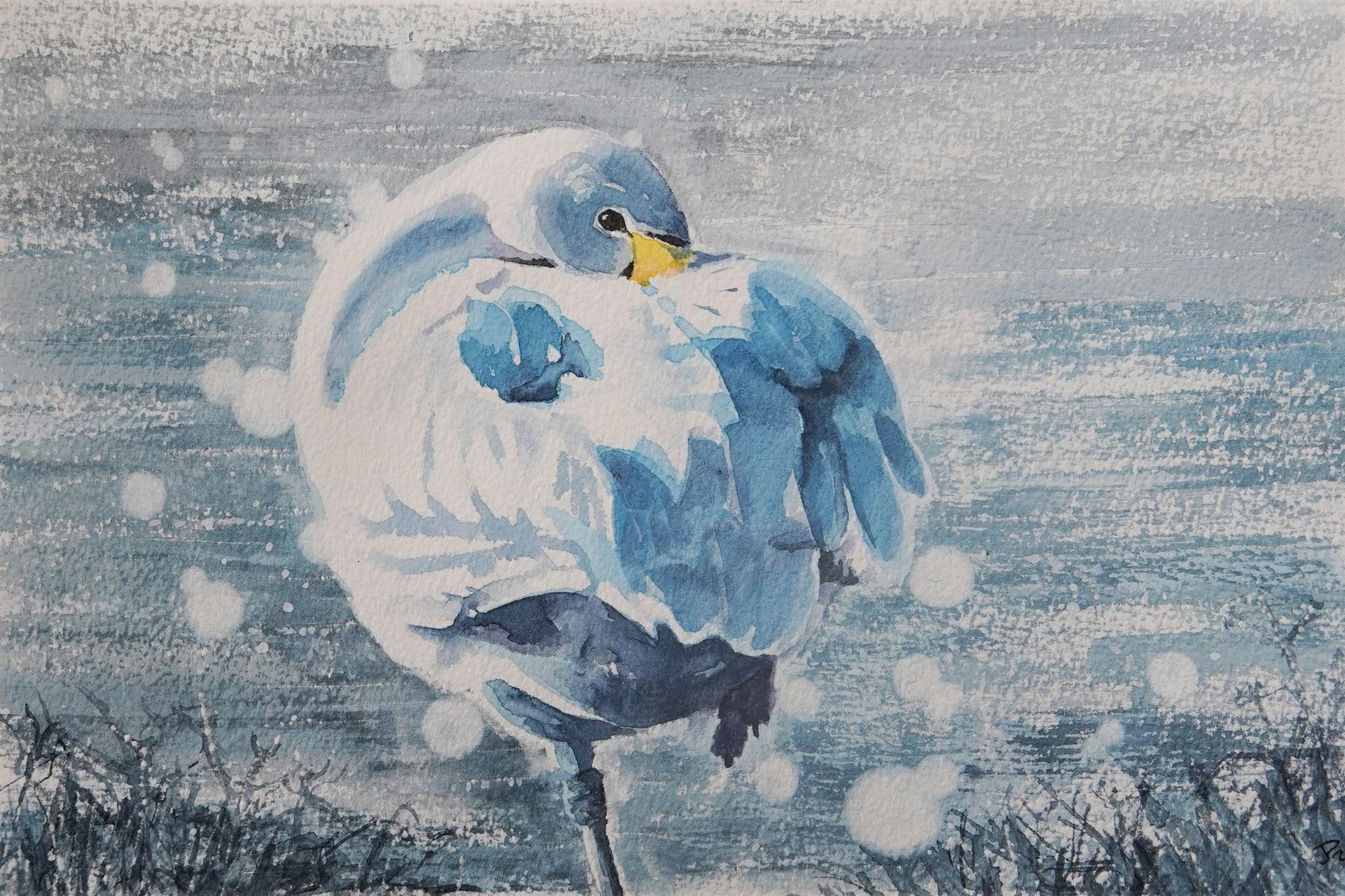 Watercolour swan