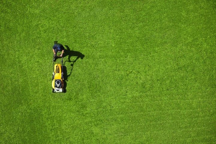 Person mowing a bright green lawn with a yellow push mower, seen from above.