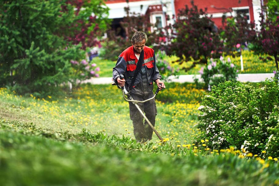 Worker spraying plants in a green garden with yellow flowers and a red building in the background