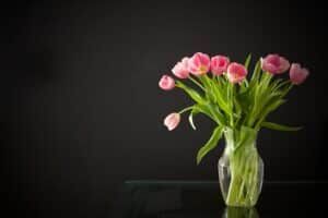 cremation services in Glendale, AZ cremation services in Glendale, AZ