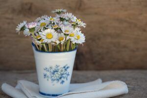 cremation services in Phoenix AZ cremation services in Phoenix AZ