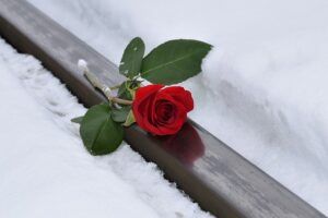 cremation services in Phoenix AZ cremation services in Phoenix AZ