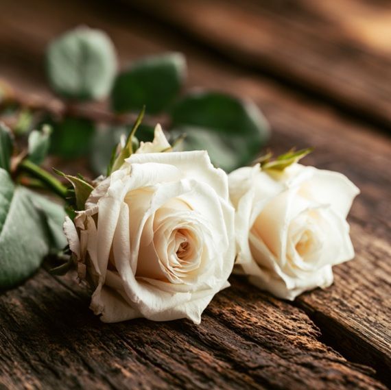 White roses symbolize remembrance at funeral homes in Mesa, AZ, honoring cherished memories.