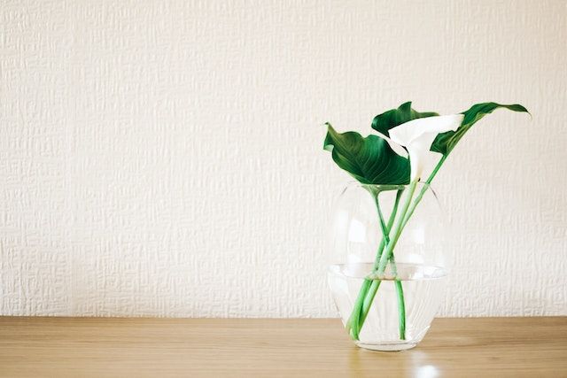 Selecting an Urn for Cremation