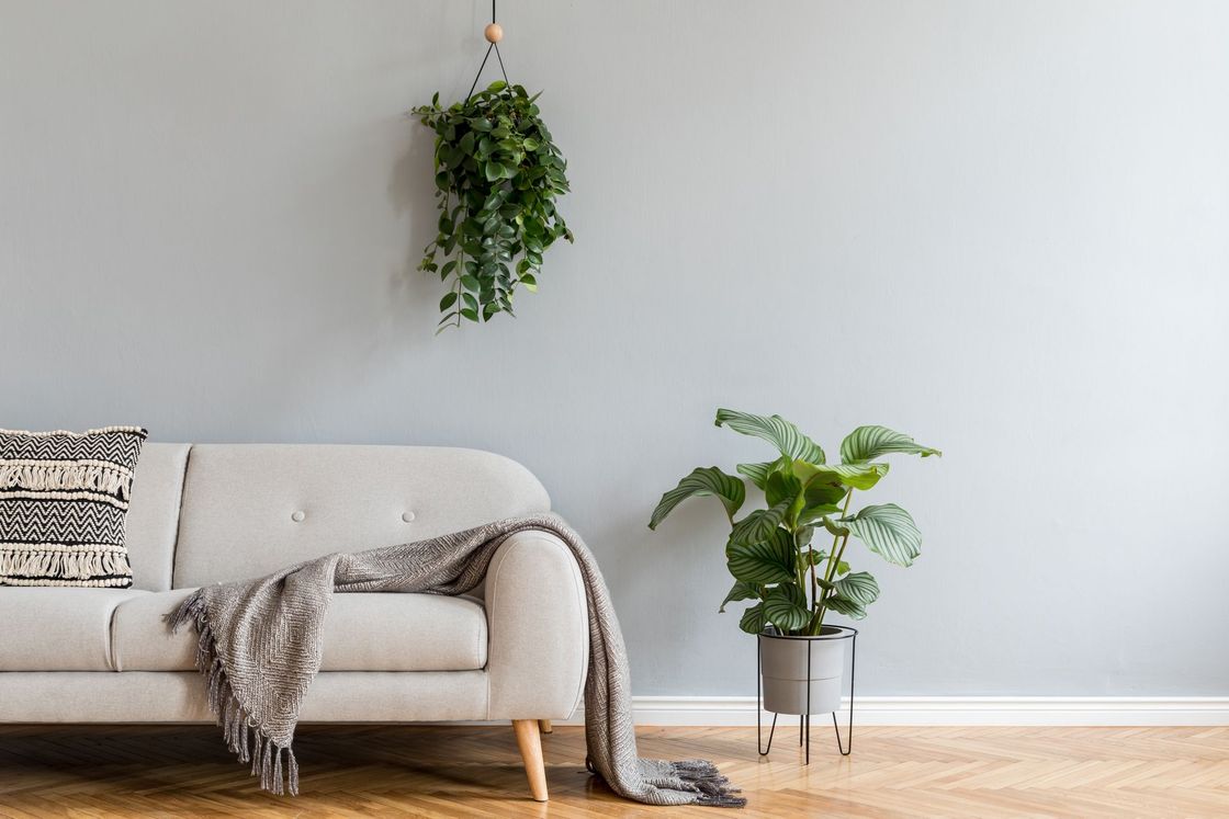 couch- fully renovated