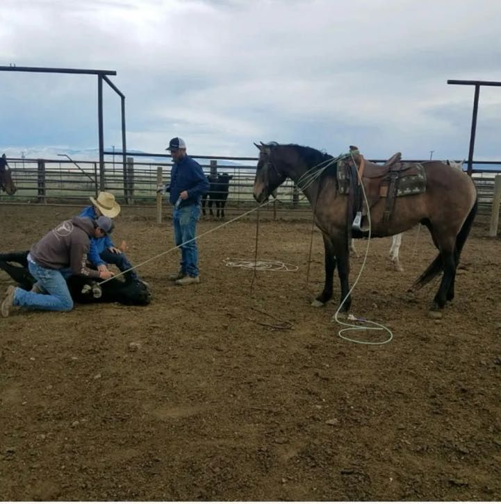 People roping a calf in a dirt pen, horse watching, under a cloudy sky.
