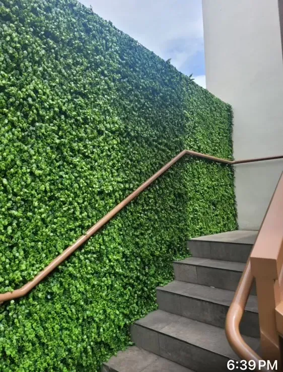 Stairway beside a green ivy wall with brown handrails and gray steps, leading upward.
