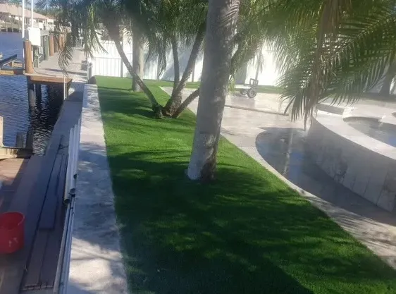 Palm-lined walkway with bright green grass beside a waterfront path and concrete wall