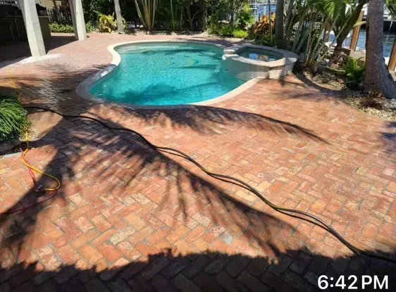 Curved backyard swimming pool beside a brick patio with long tree shadows at sunset