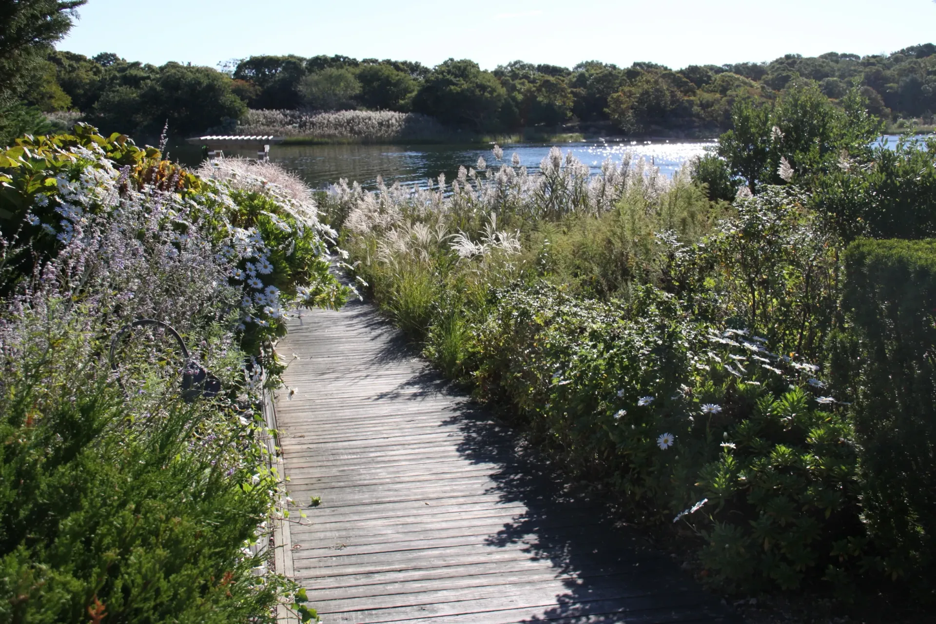 trumpets on the bay wedding garden