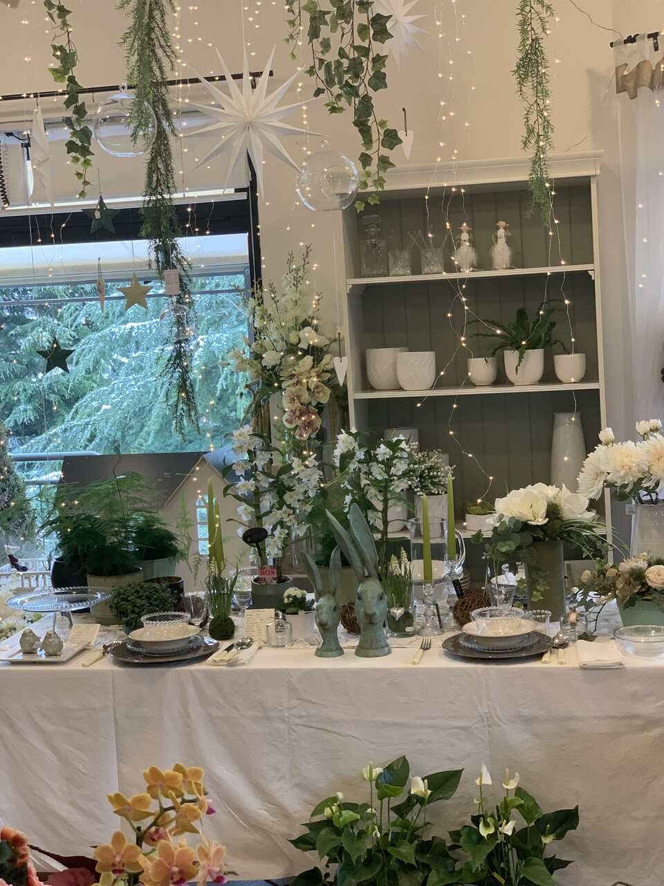 decorazioni e piante per la casa