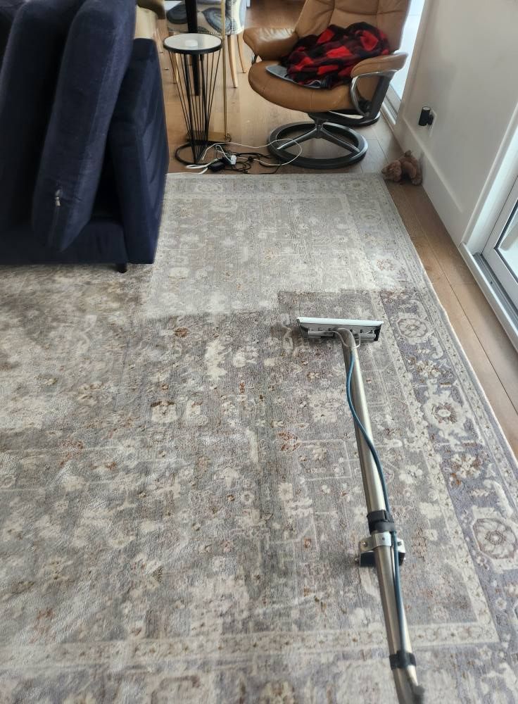 Vacuum cleaner on a light gray rug beside a sofa and chair in a living room