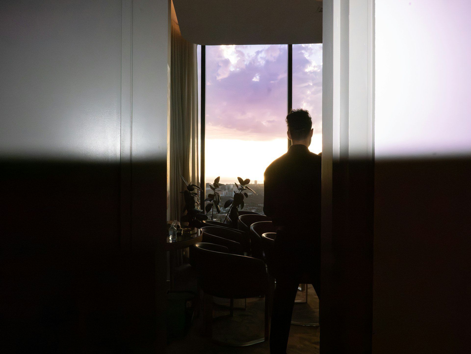 Silhouetted person standing by a window at sunset, with indoor plants and a purple-orange sky outside