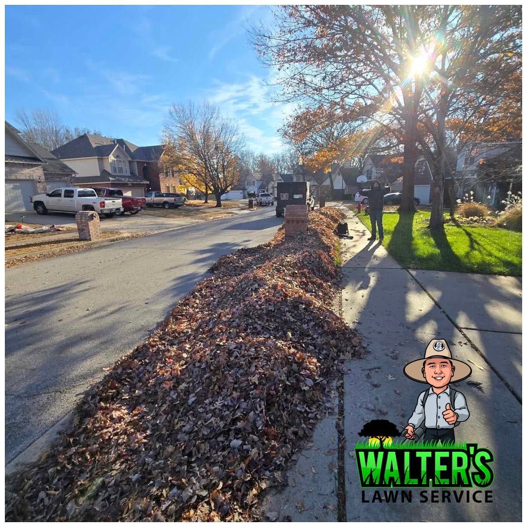 Residential street with leaf piles along the curb, sidewalk, and bright sun shining through trees.