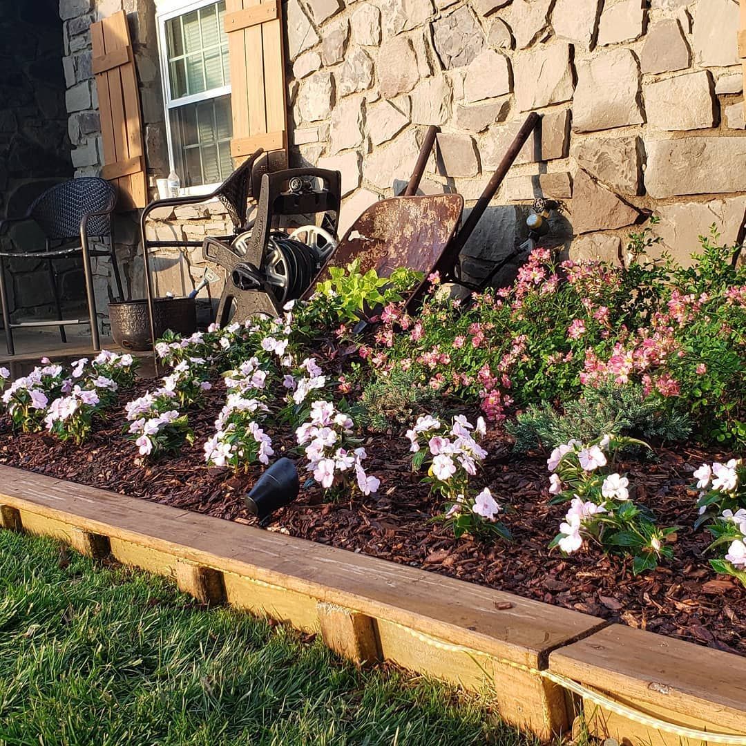Flowerbed
