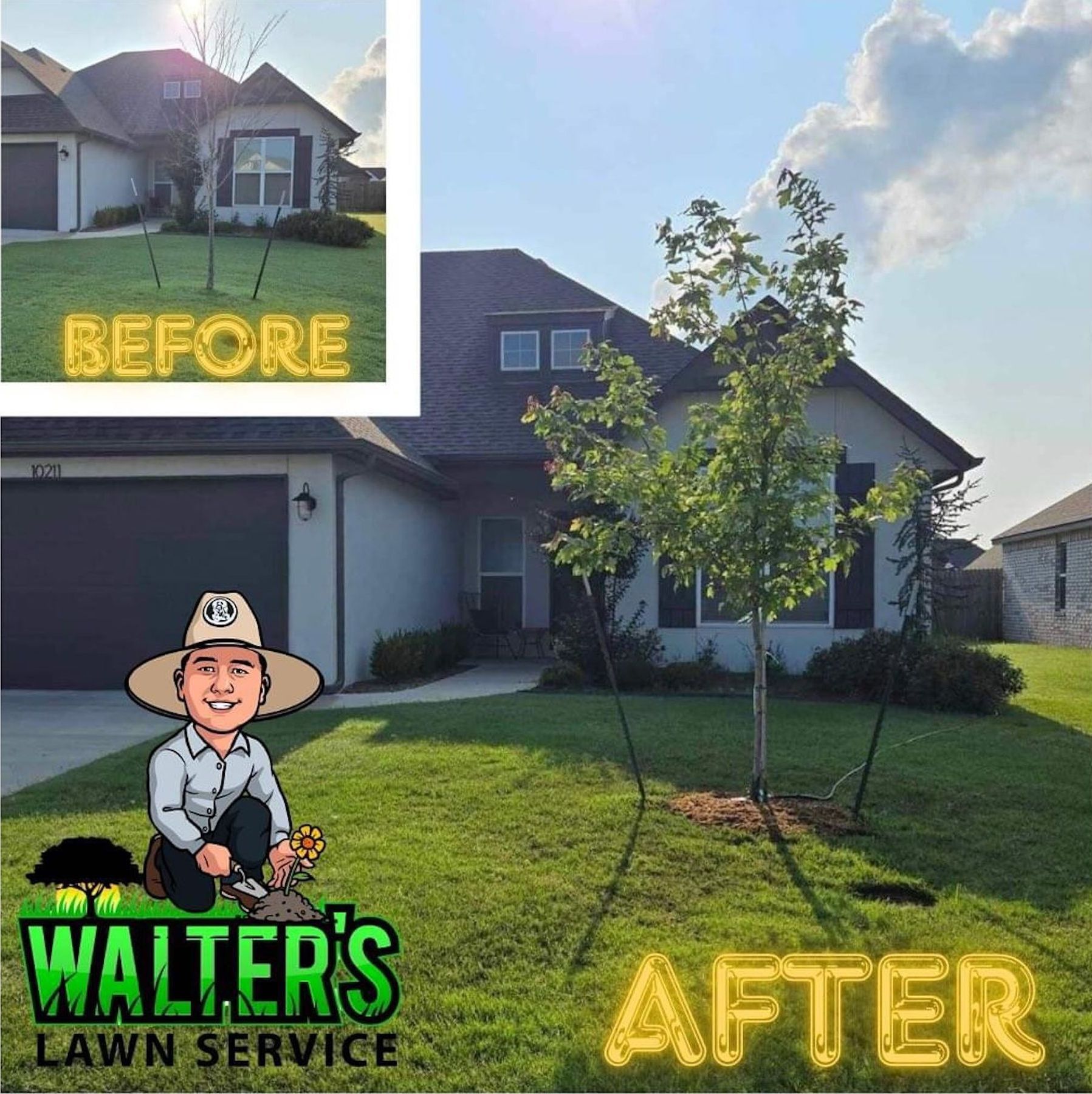 Freshly Mowed Lawn