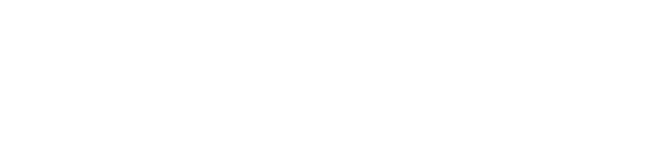 Wazee Street Capital Management logo
