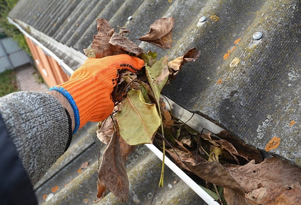 A person cleaning a roof with leaves | Business Drain Cleaning