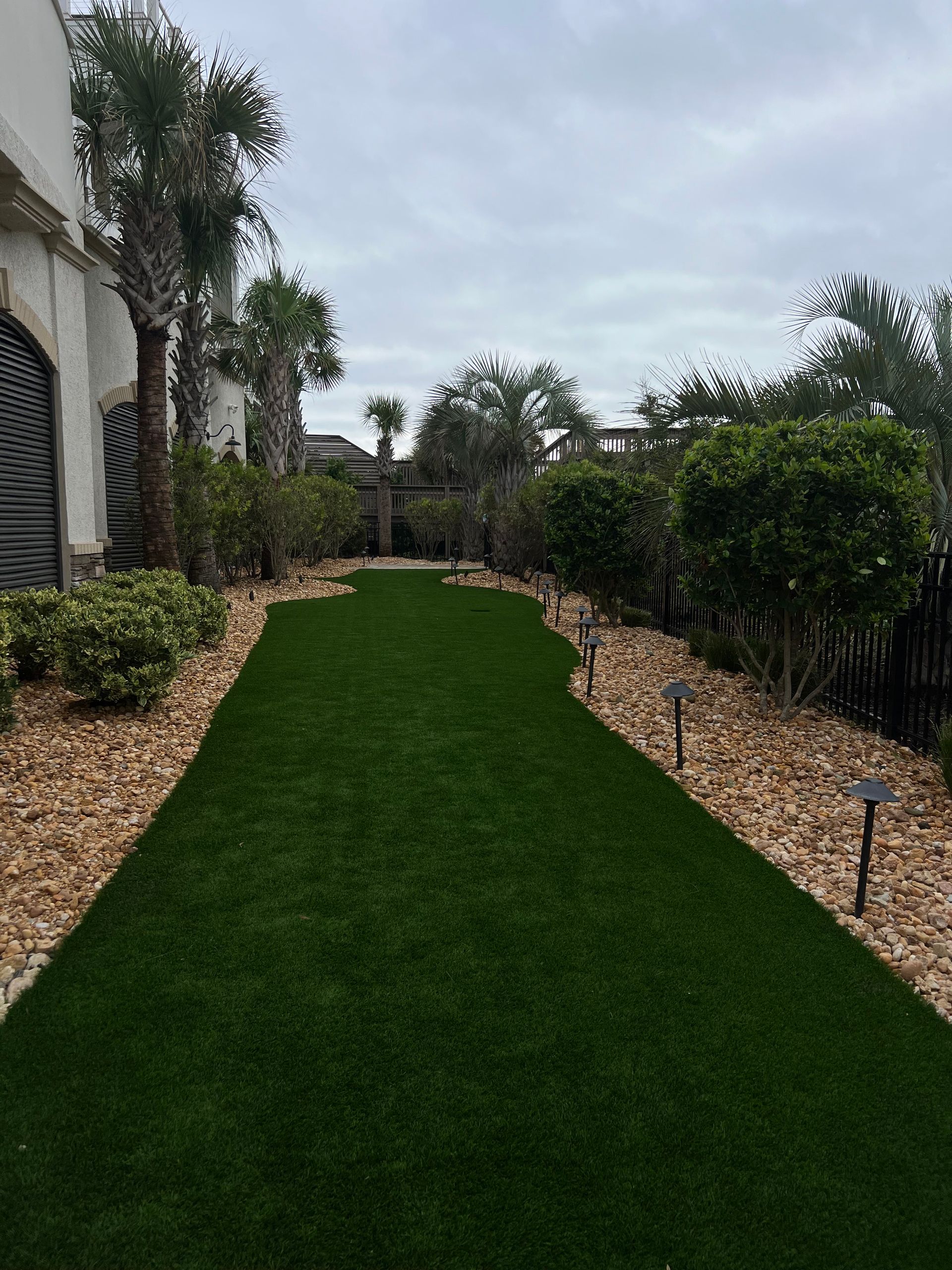 Narrow green lawn path between shrubs and mulch in a landscaped yard beside a white house