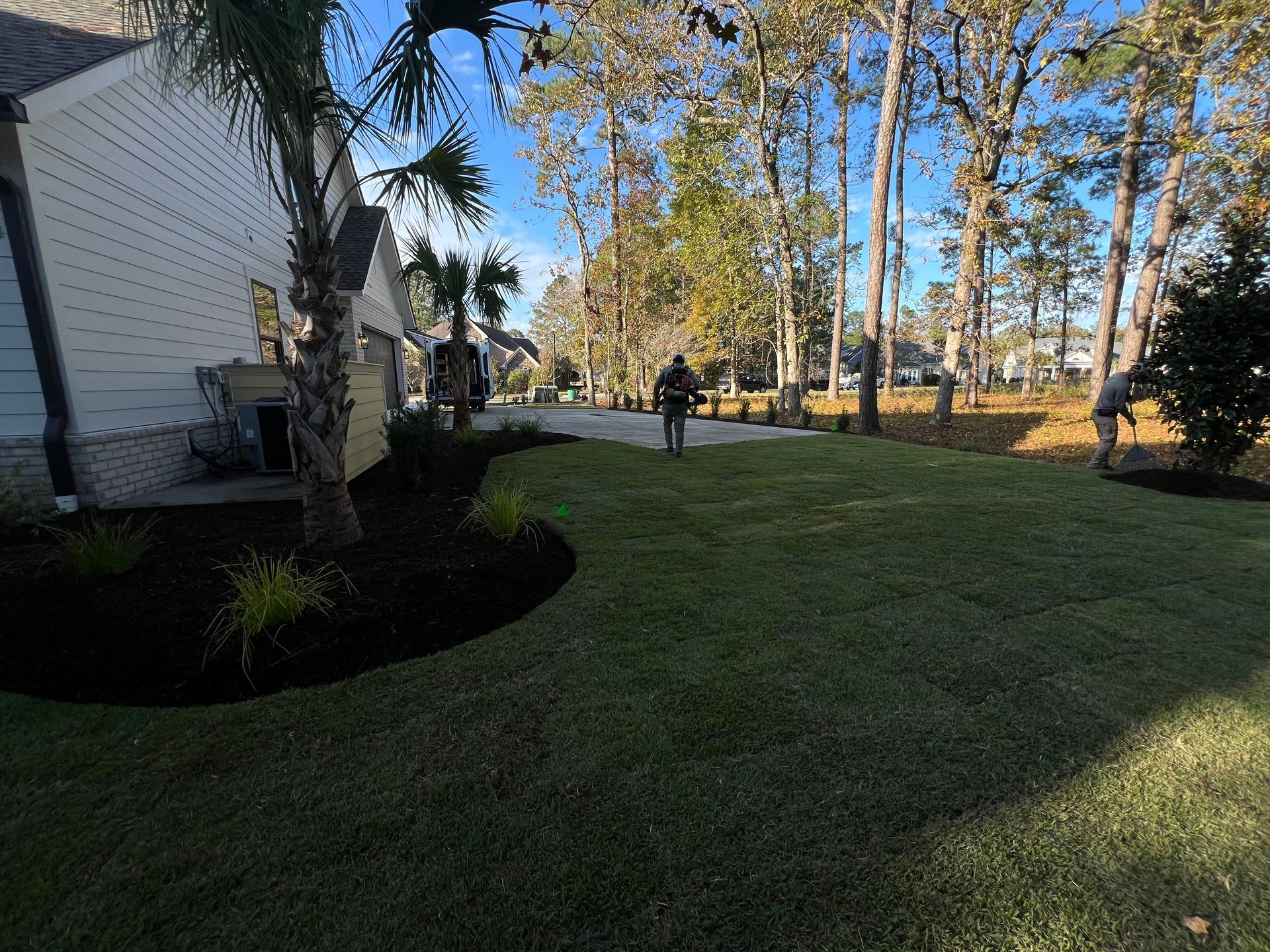 Suburban yard with manicured lawn, trees, and a house in warm afternoon light