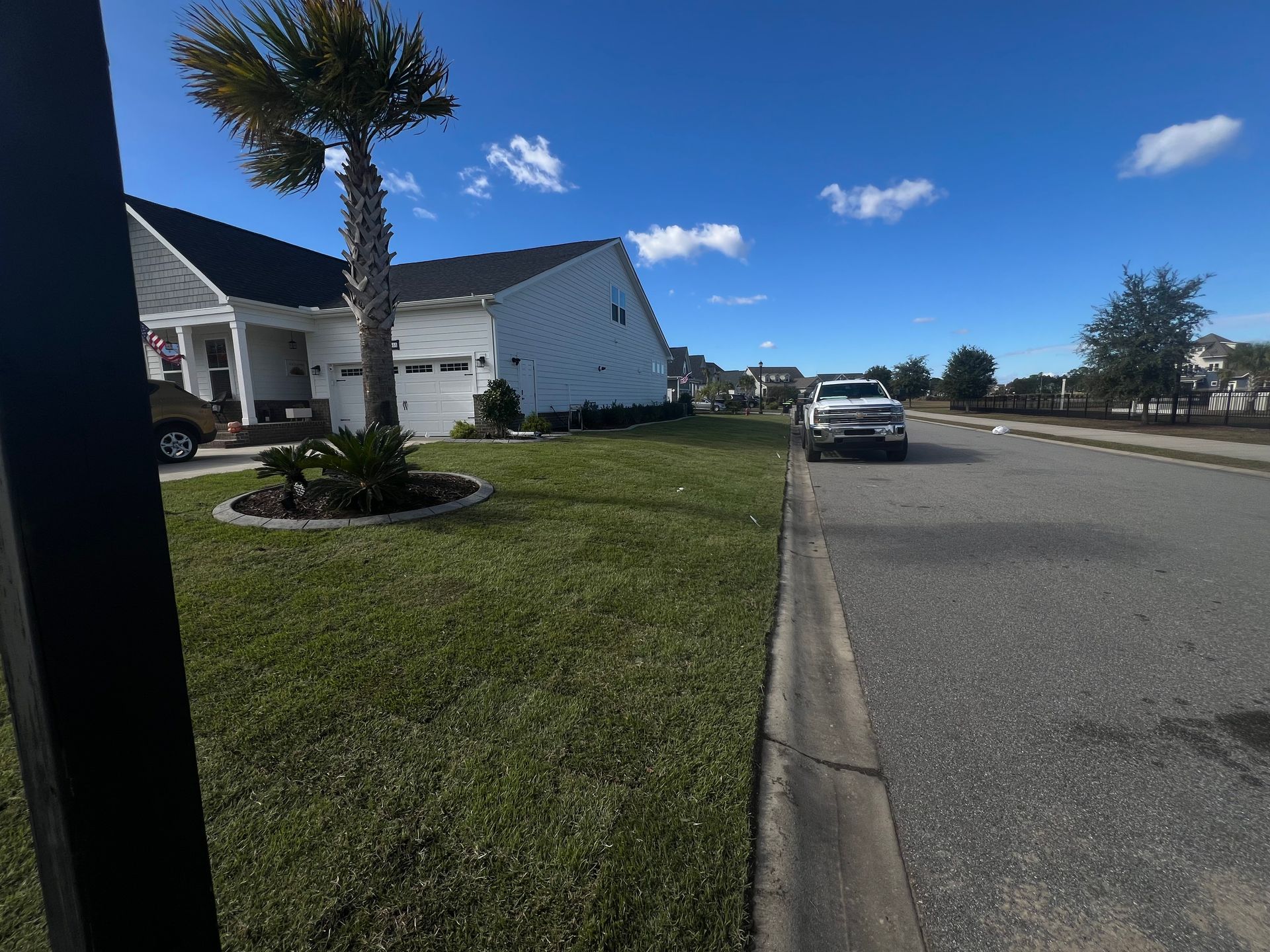 Residential street with parked cars, white houses, a palm tree, and a bright blue sky.