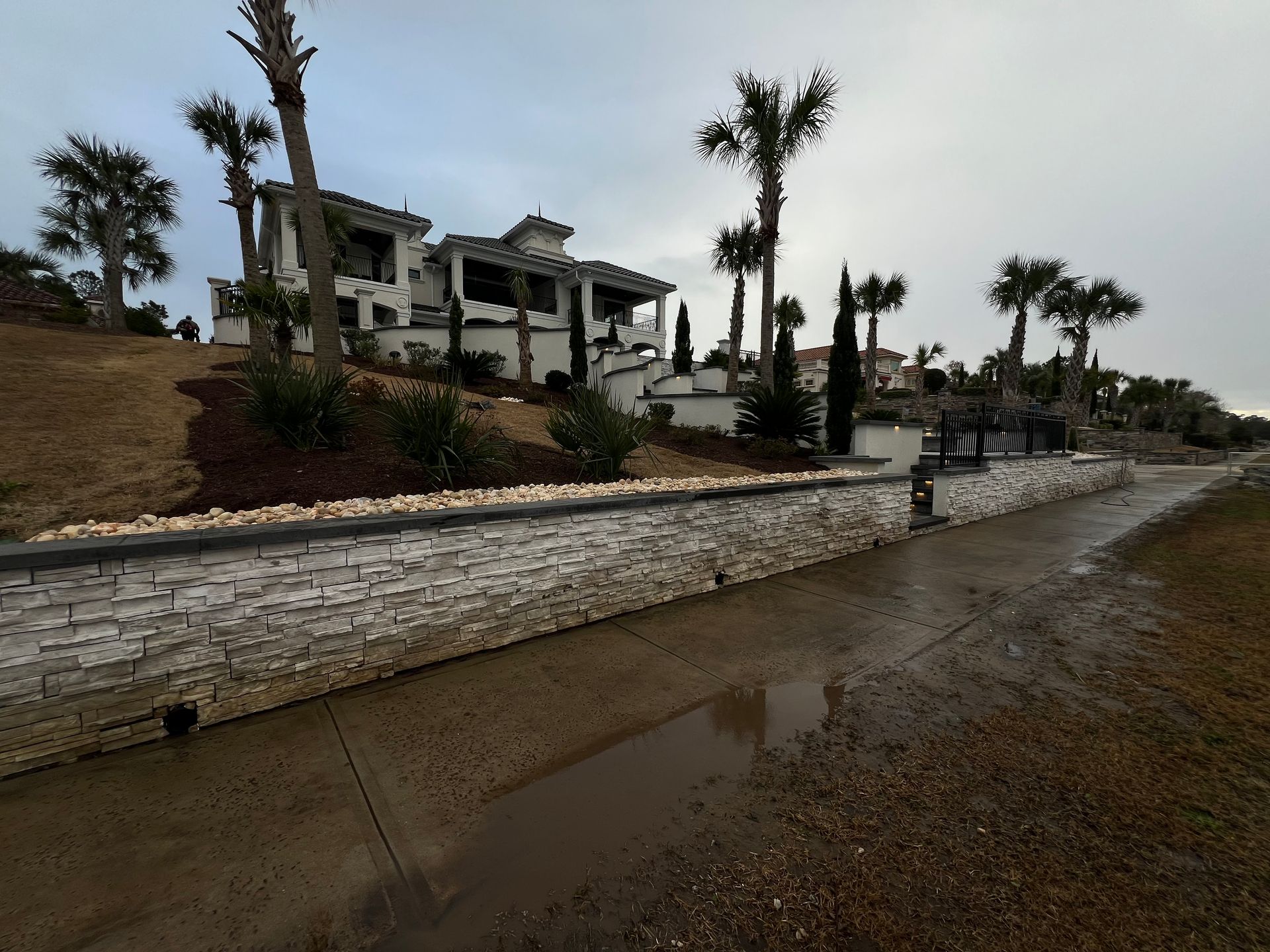 Rainy roadside with palm trees, stone retaining wall, and a white house on a hillside.