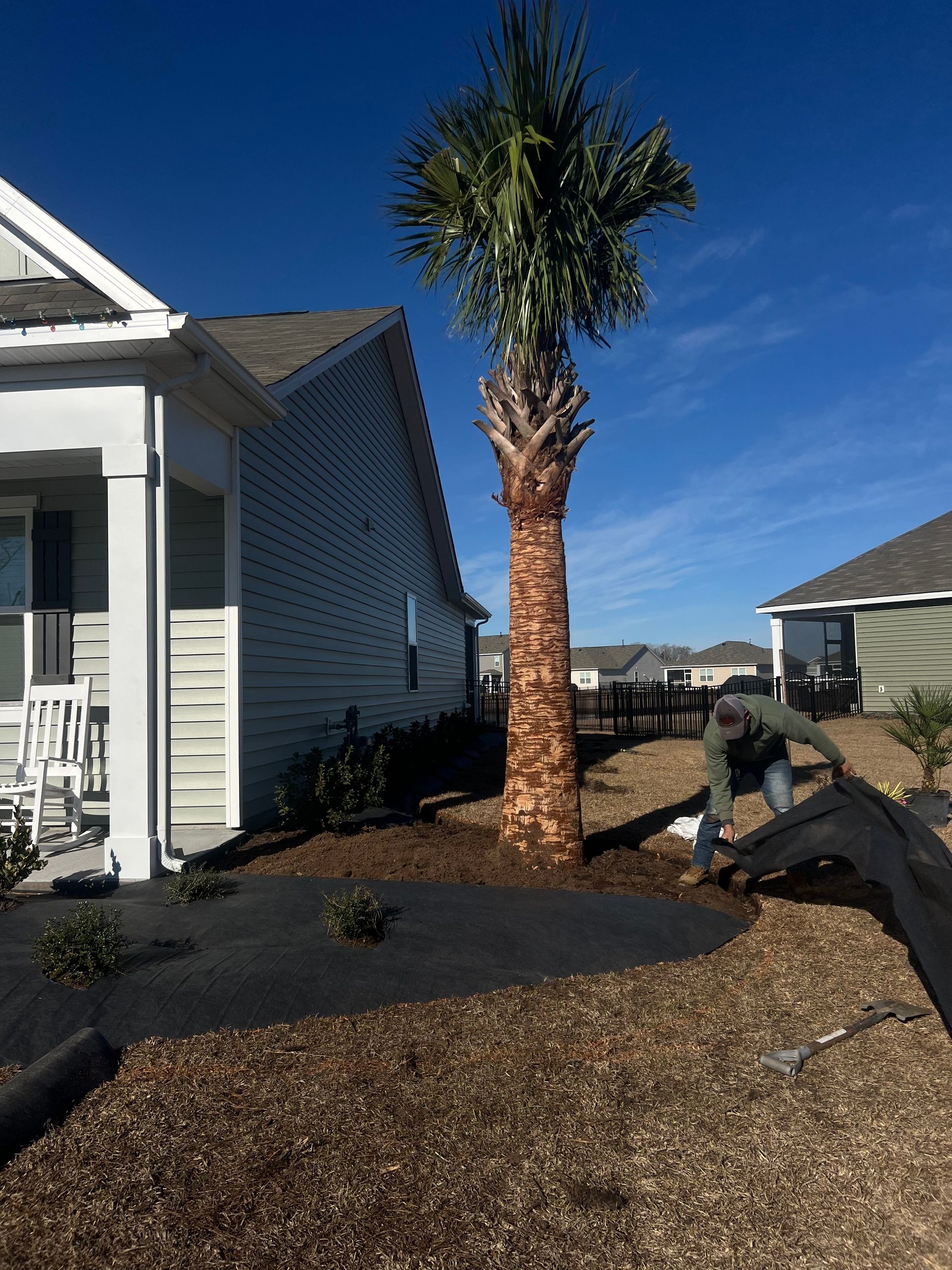 Palm tree beside a white house with gravel landscaping under a clear blue sky