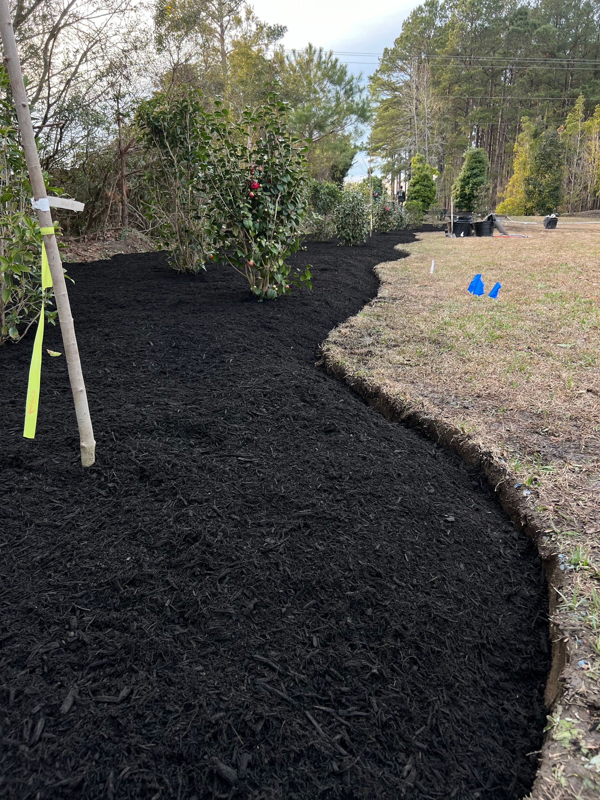 Fresh black mulch borders a curved garden bed with shrubs and trees in a yard.