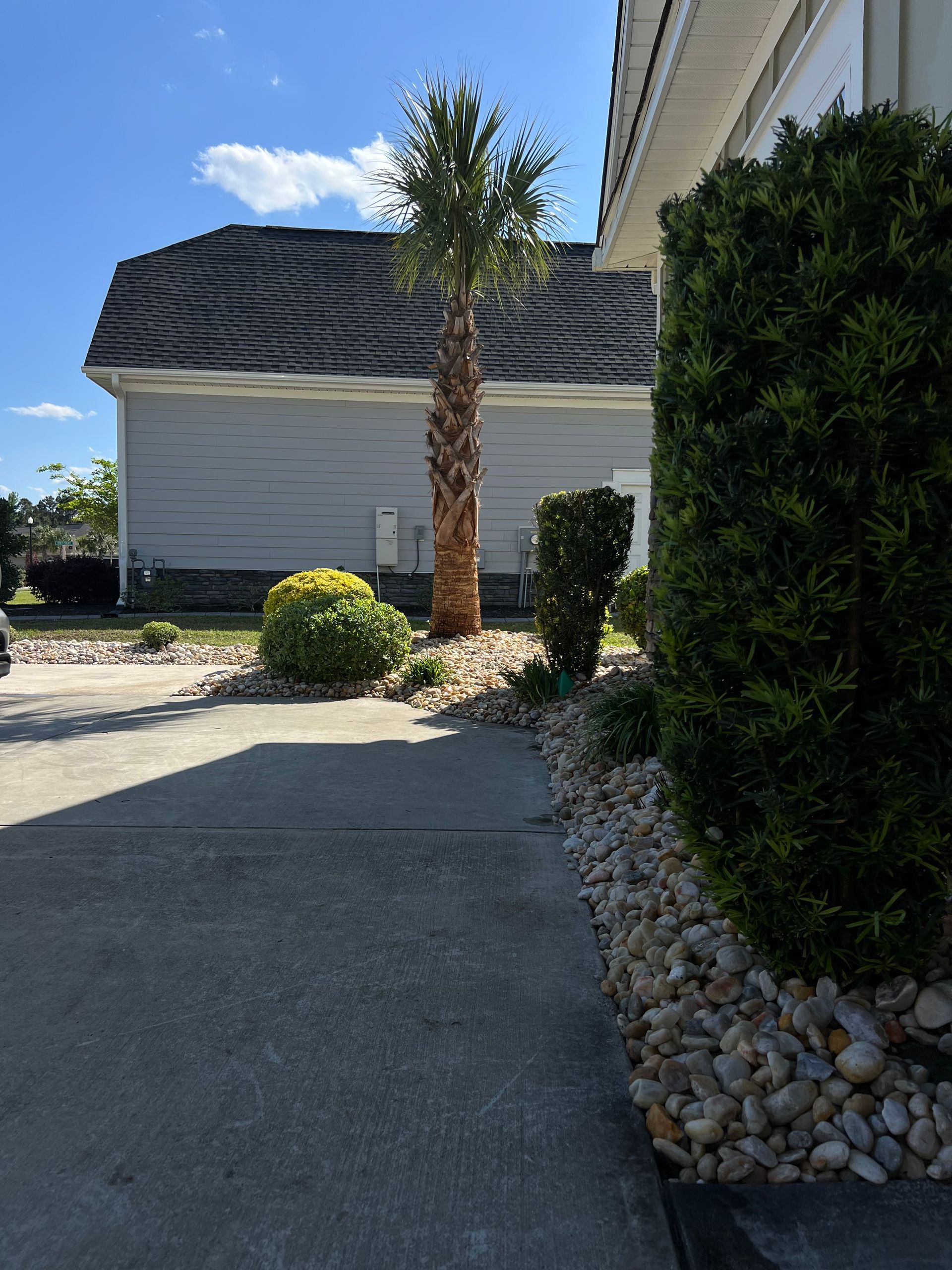 Driveway beside a house with a palm tree, shrubs, and a bright blue sky