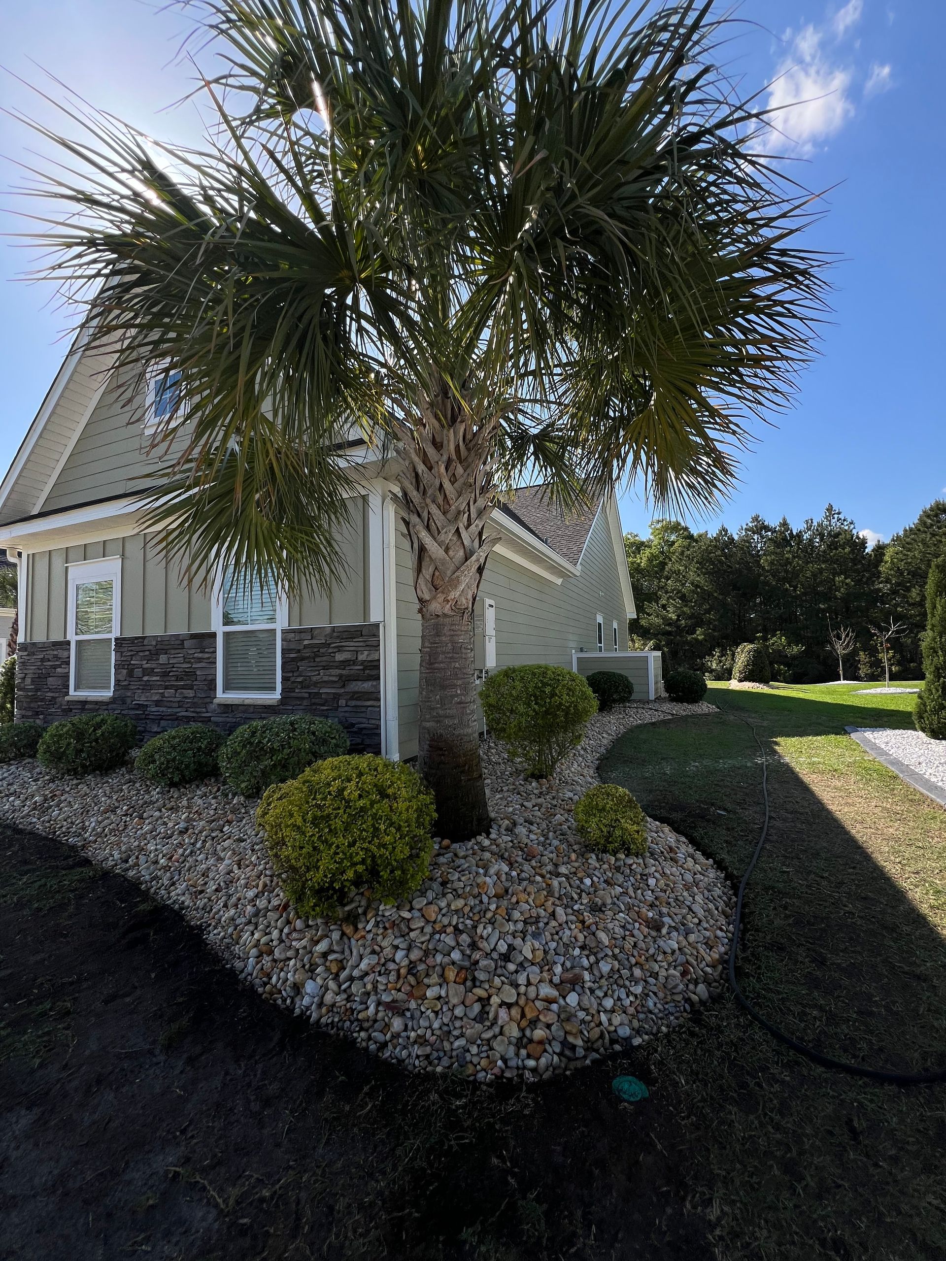 Landscaped house exterior with palm tree and rock border in bright sunlight