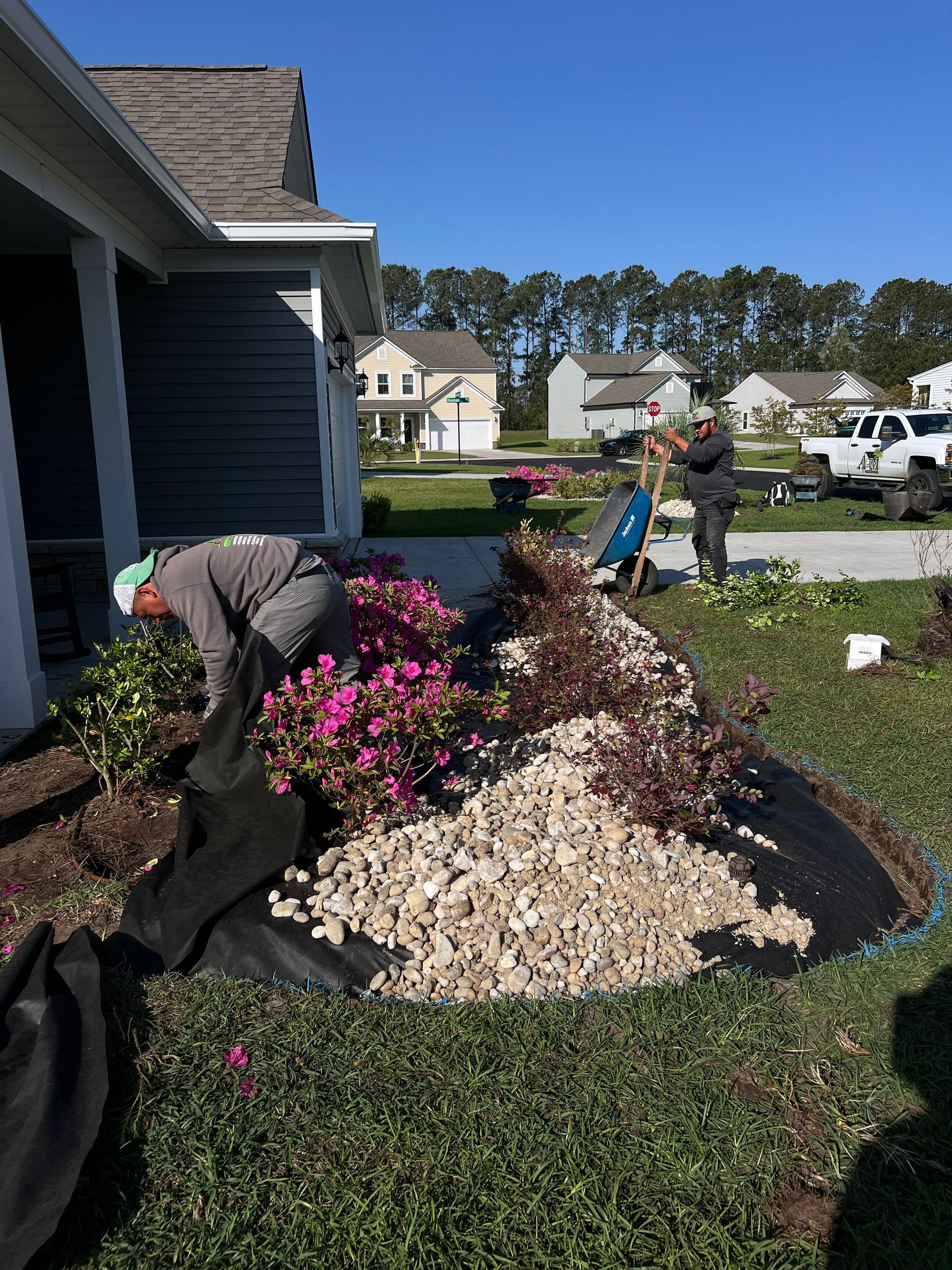 Workers planting pink flowers in a landscaped flower bed beside a house on a sunny day