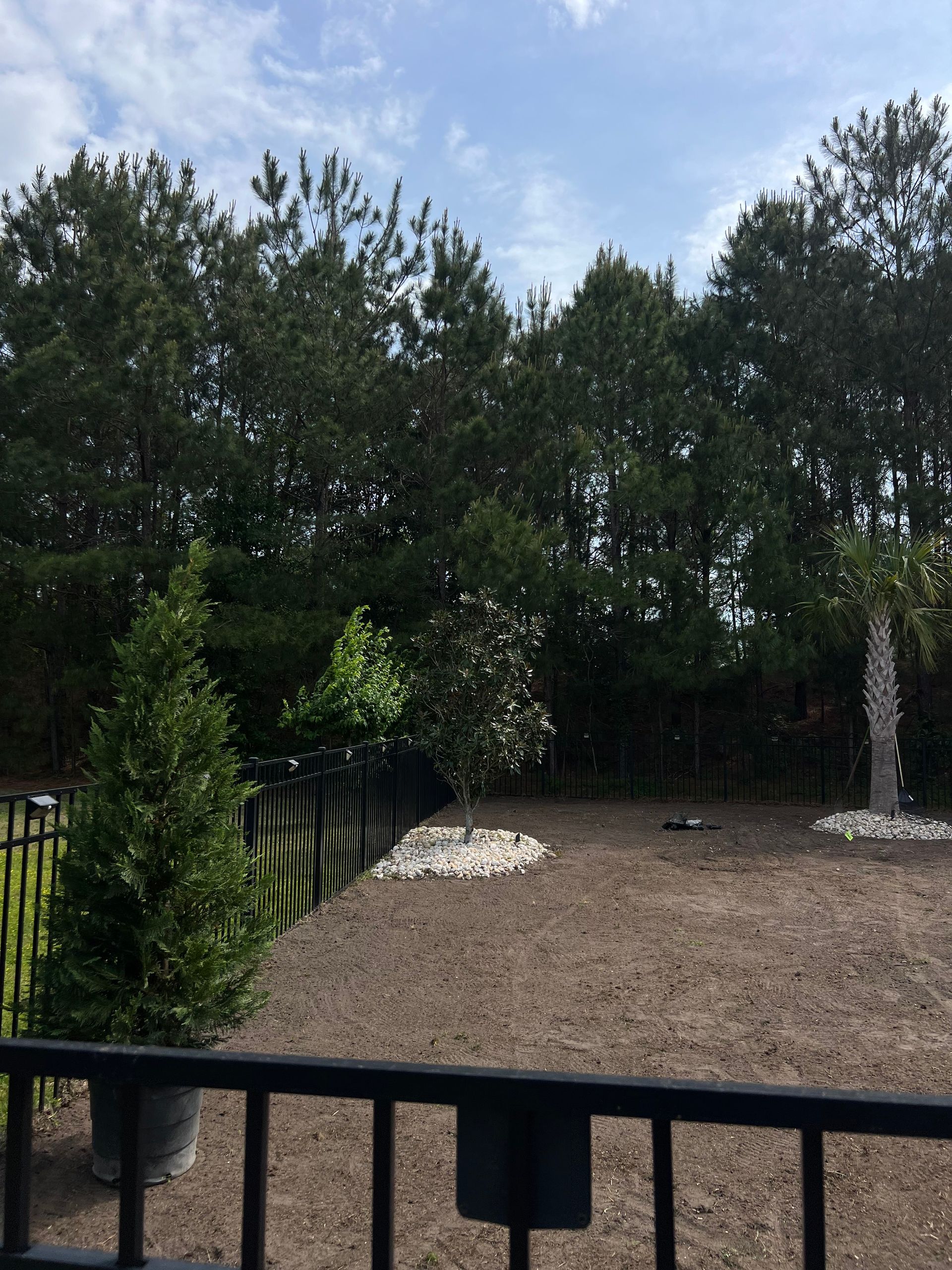 Backyard with gravel ground, black fence, potted shrubs, and tall trees under a cloudy sky