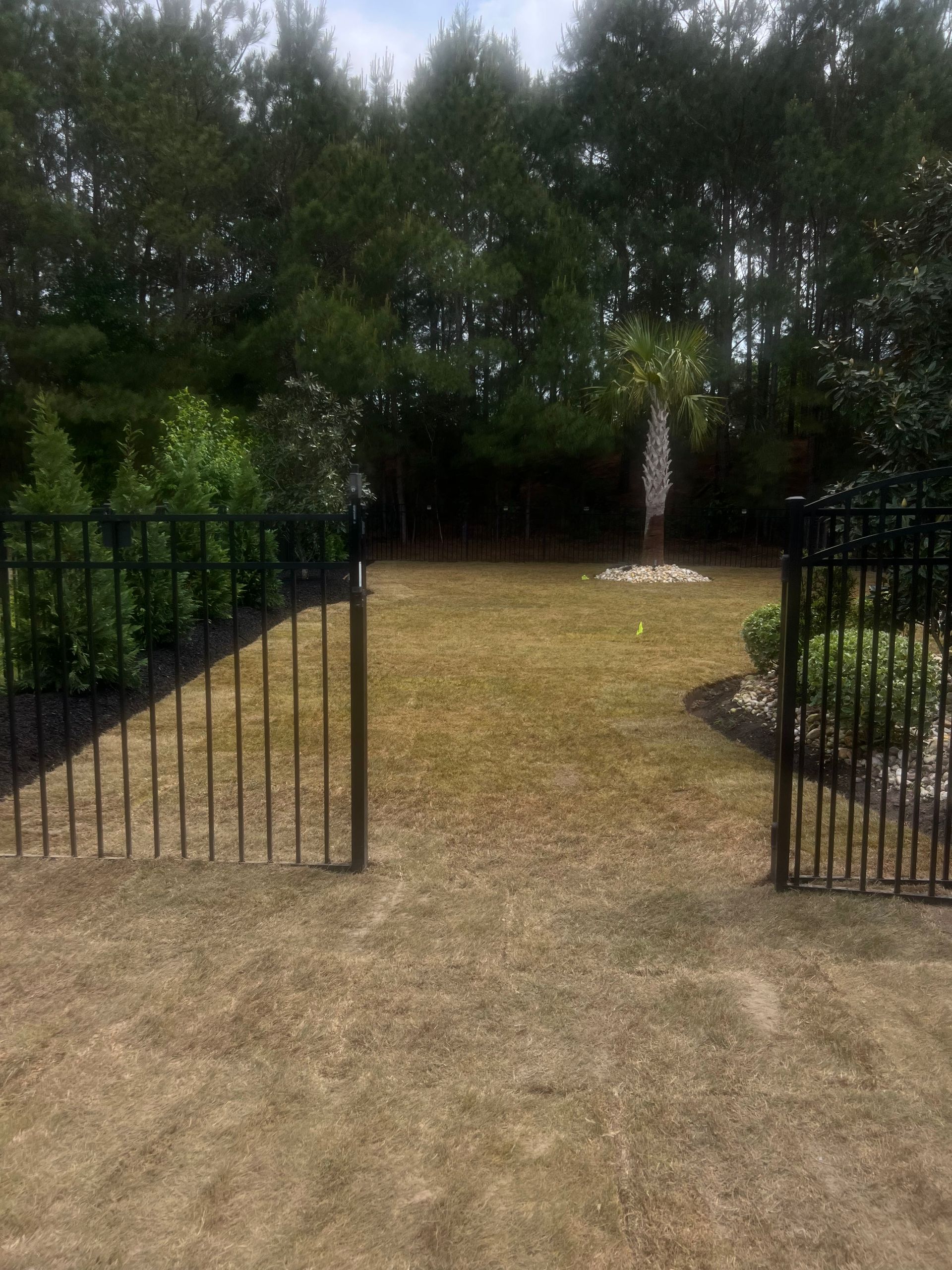 Open black metal gates leading to a grassy path bordered by trees and hedges