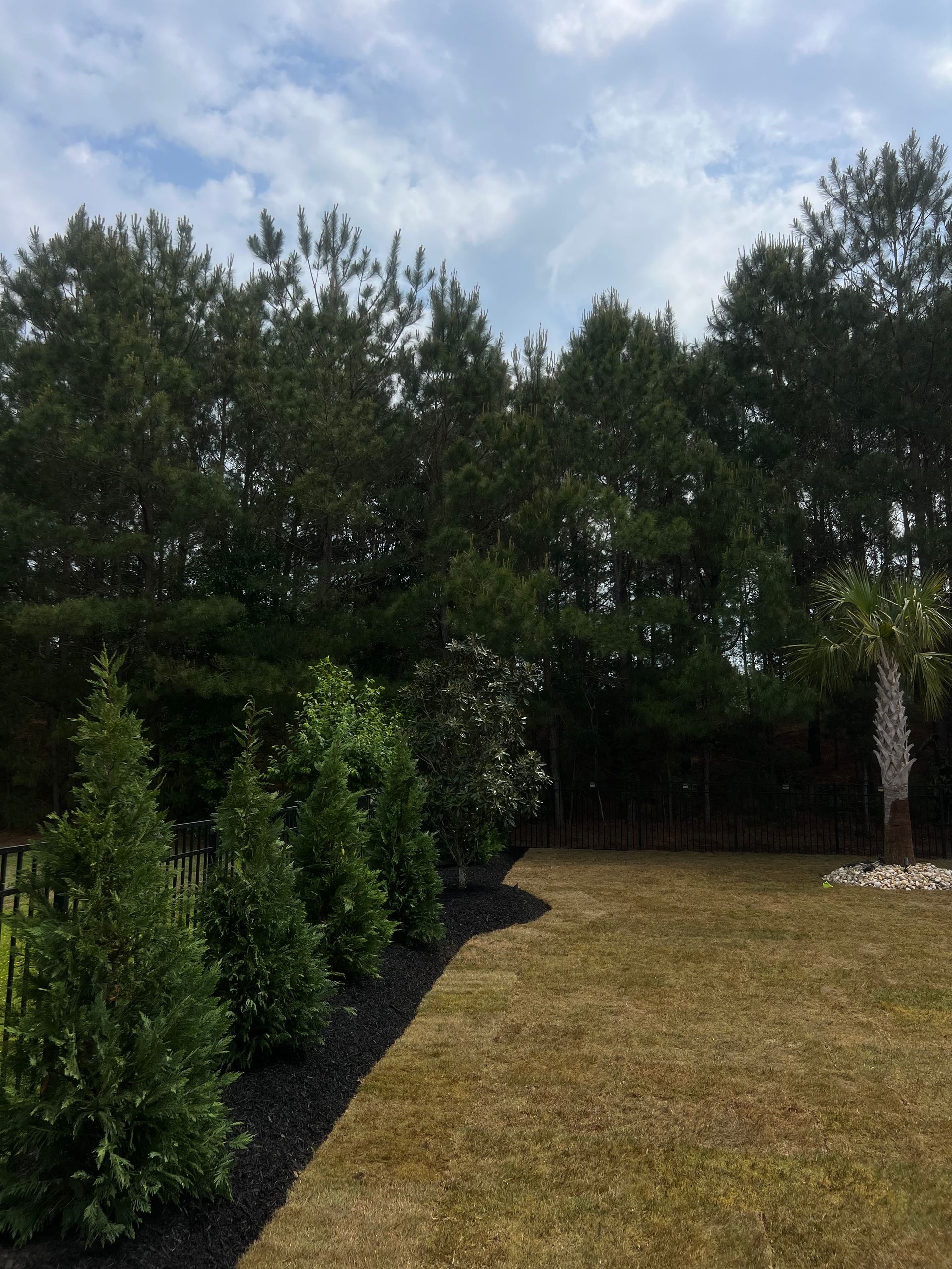Grassy backyard with dense green hedges, trees, and a small stone fountain under a cloudy sky