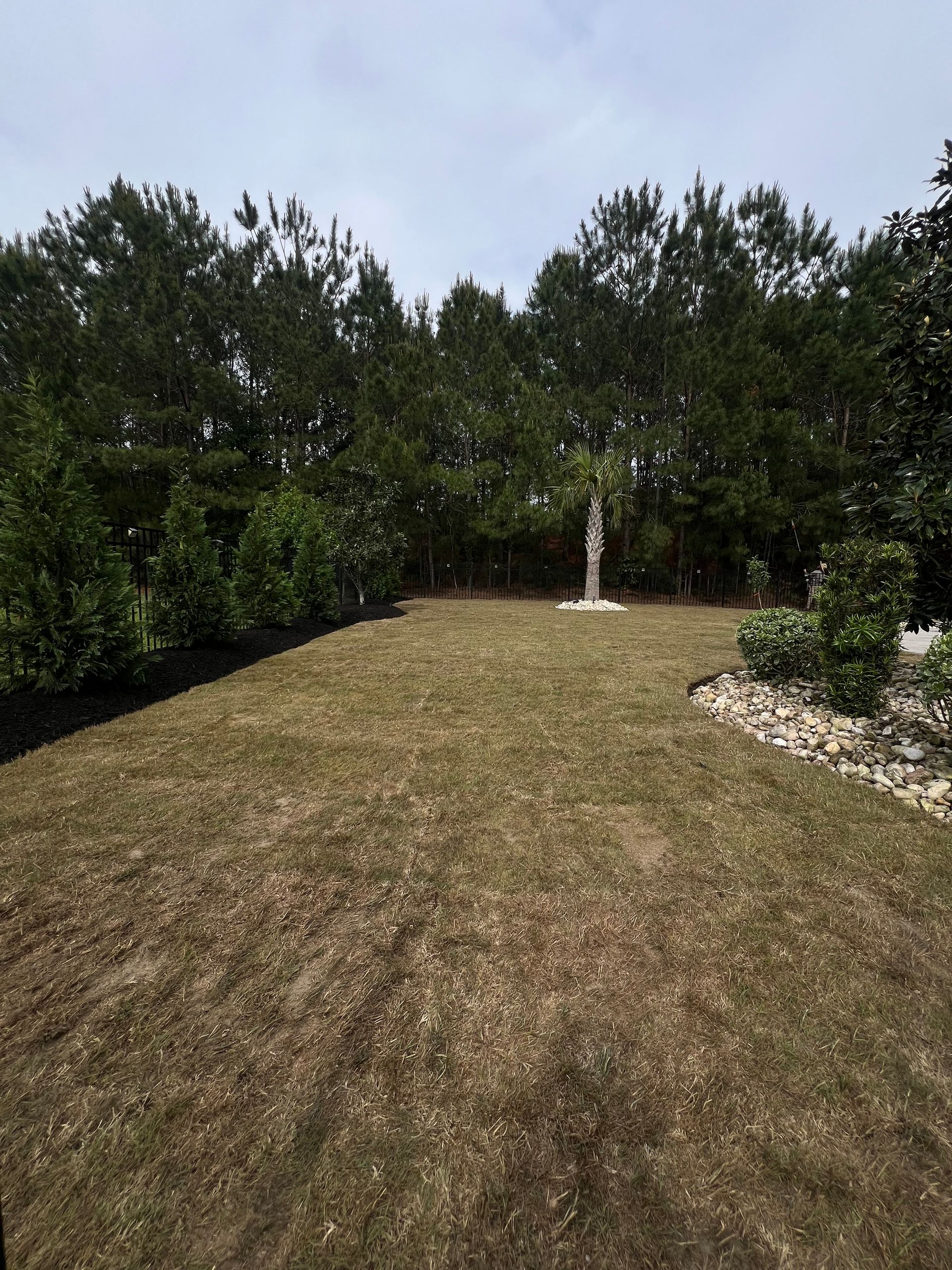 A grassy yard bordered by dense green shrubs and trees, with a white garden ornament in the center.