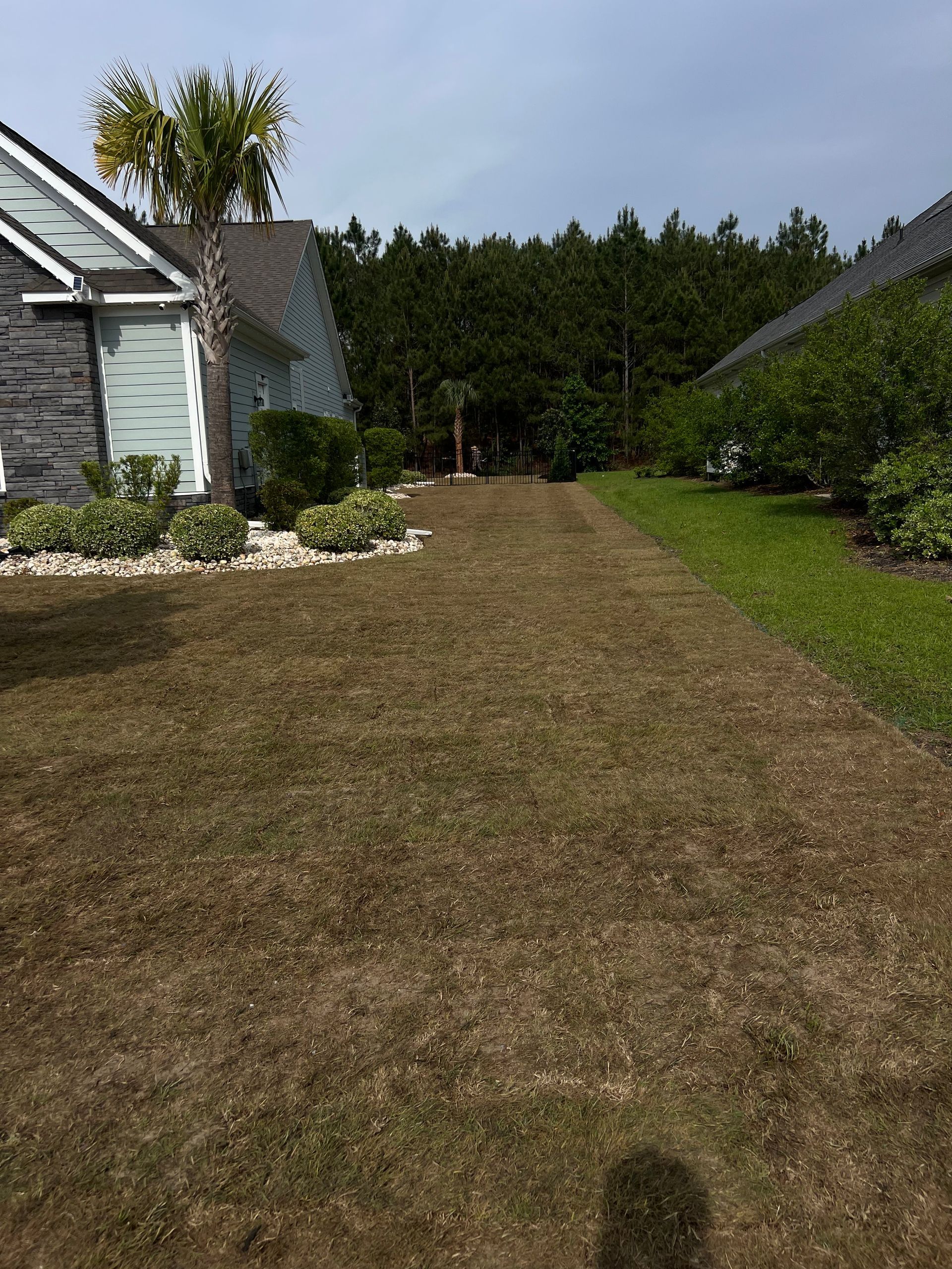 Grassy side yard between houses with a narrow path leading to trees in the distance