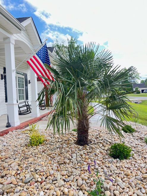 Front yard with a palm tree, white house, and American flag under a partly cloudy sky