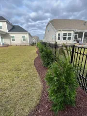 Mulched garden border with green shrubs along a black fence beside suburban houses and a lawn