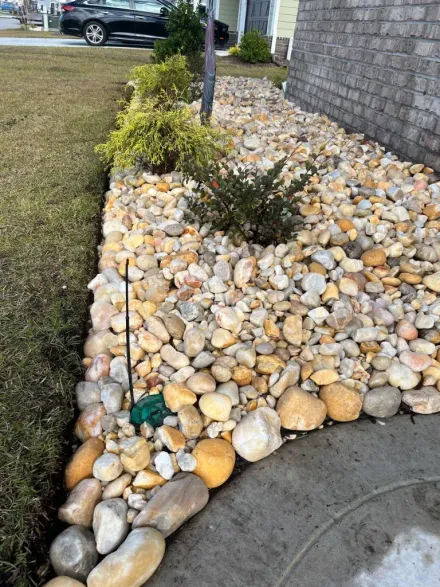 Rock garden beside a stone wall with yellow and gray river rocks, small shrubs, and a lawn edge.