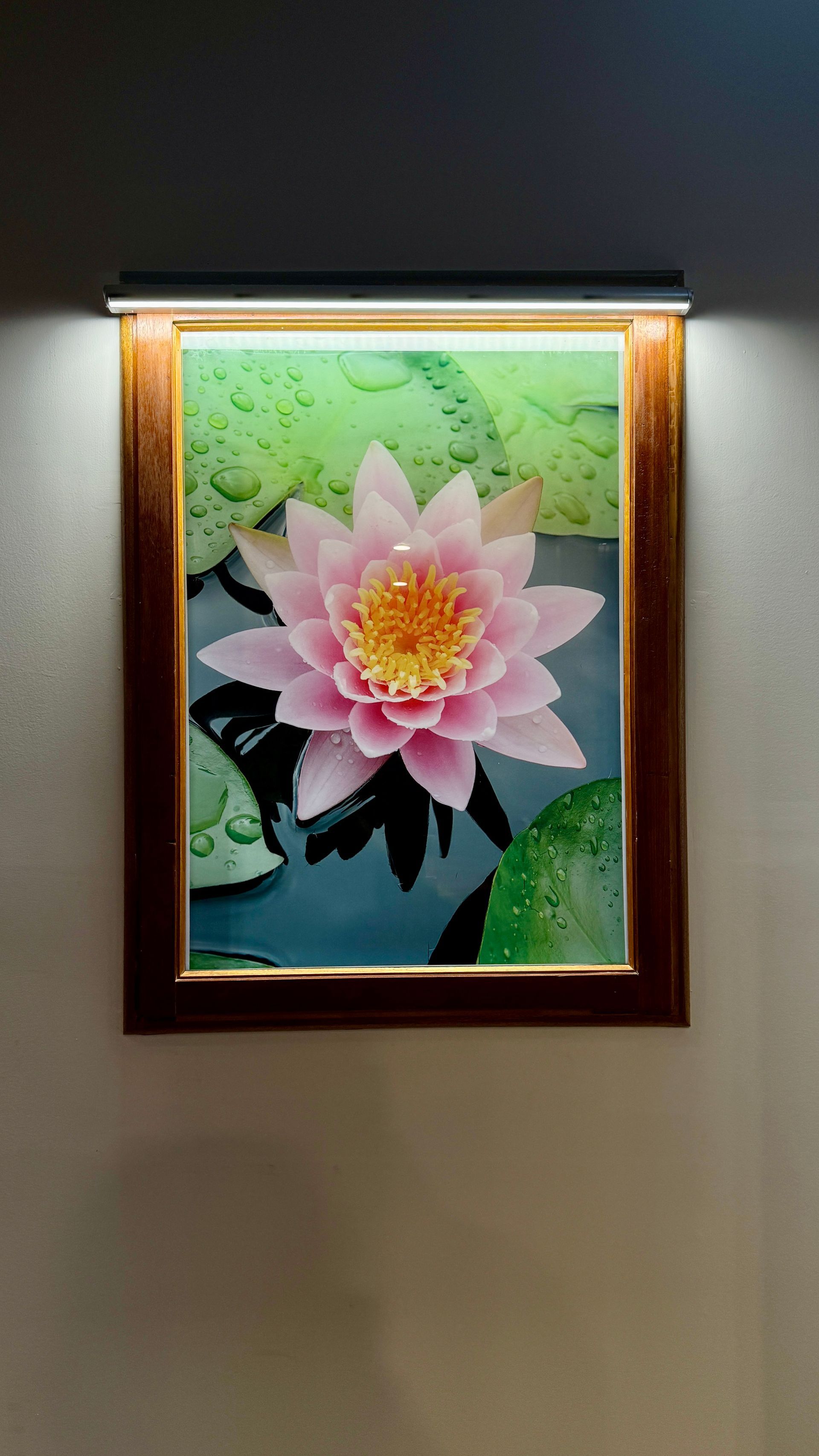 A pink lotus flower in a framed image with a light above it — Bali at the Bay in Nelson Bay, NSW