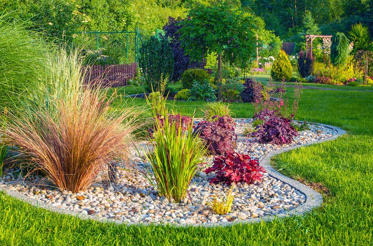 Colorful landscaped garden bed with ornamental grasses, flowers, and green lawn in bright sunlight