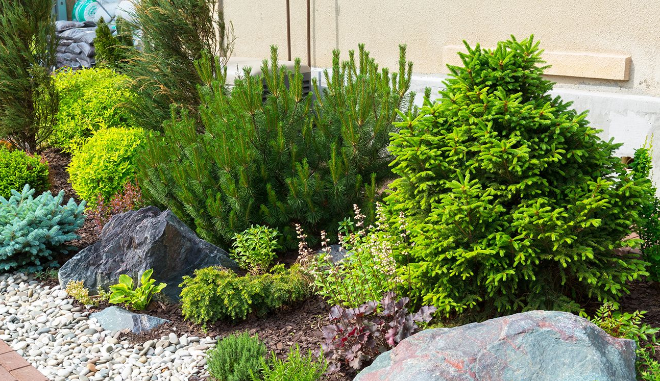 Landscaped garden bed with shrubs, white rocks, and a large boulder beside a brick walkway
