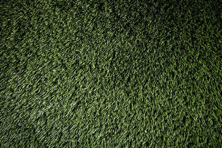 Close-up of dense green grass filling the frame.