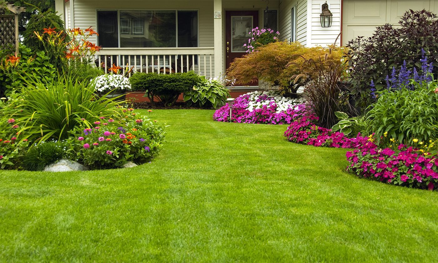Lush green lawn bordered by shrubs and trees in a garden park