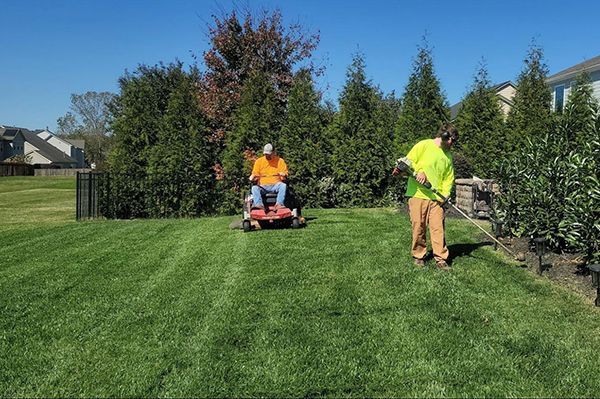 Two landscapers mowing a bright green lawn on a sunny day